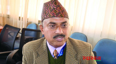 आर्थिक मन्दीको चपेटामा स्वदेशी औषधि उद्योग